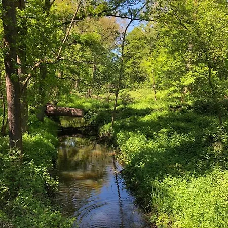 度假居 Vakantiewoning Op De Bos *