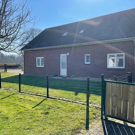 Vakantiewoning Op De Bos Vakantiehuis Roggel