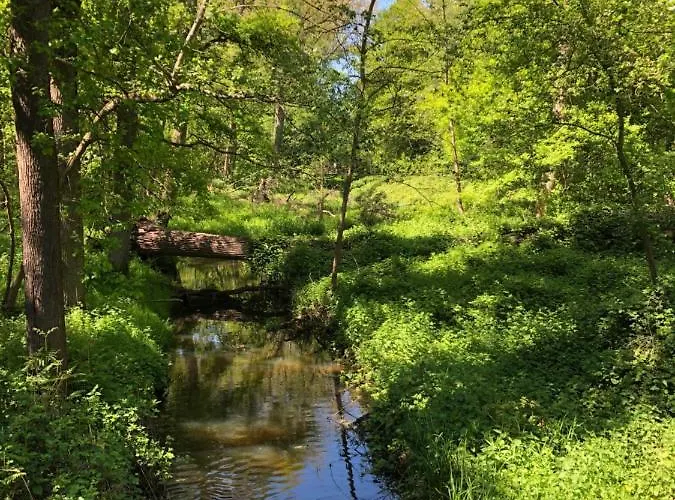 بيت للعطل Vakantiewoning Op De Bos *