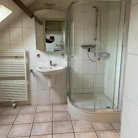 Vakantiewoning Op De Bos Roggel